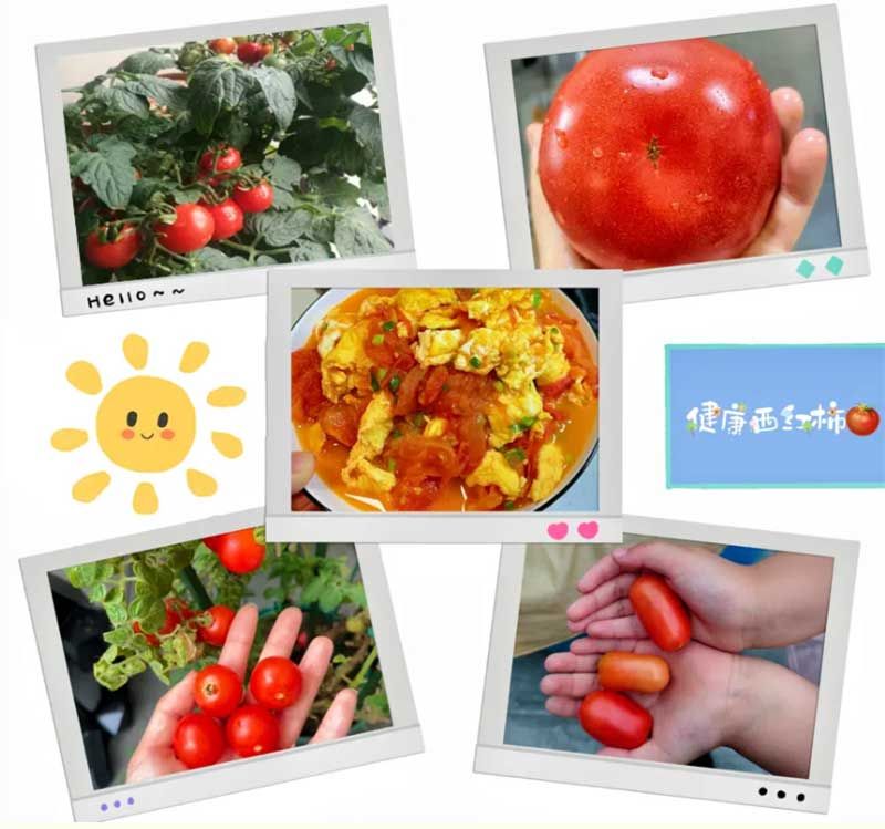 朝陽農藝師系列活動